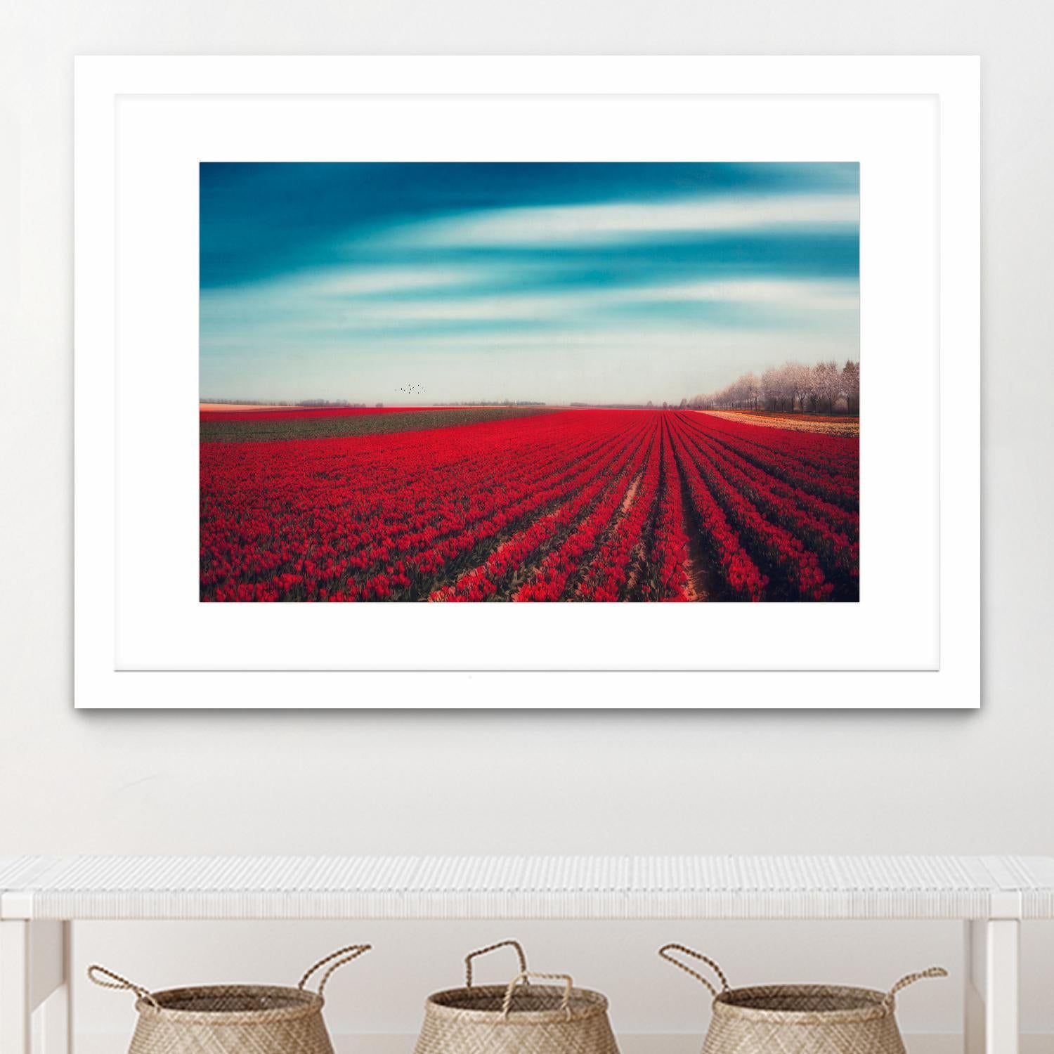 Tulips by Dirk Wuestenhagen on GIANT ART - multicolor photography; landscapes