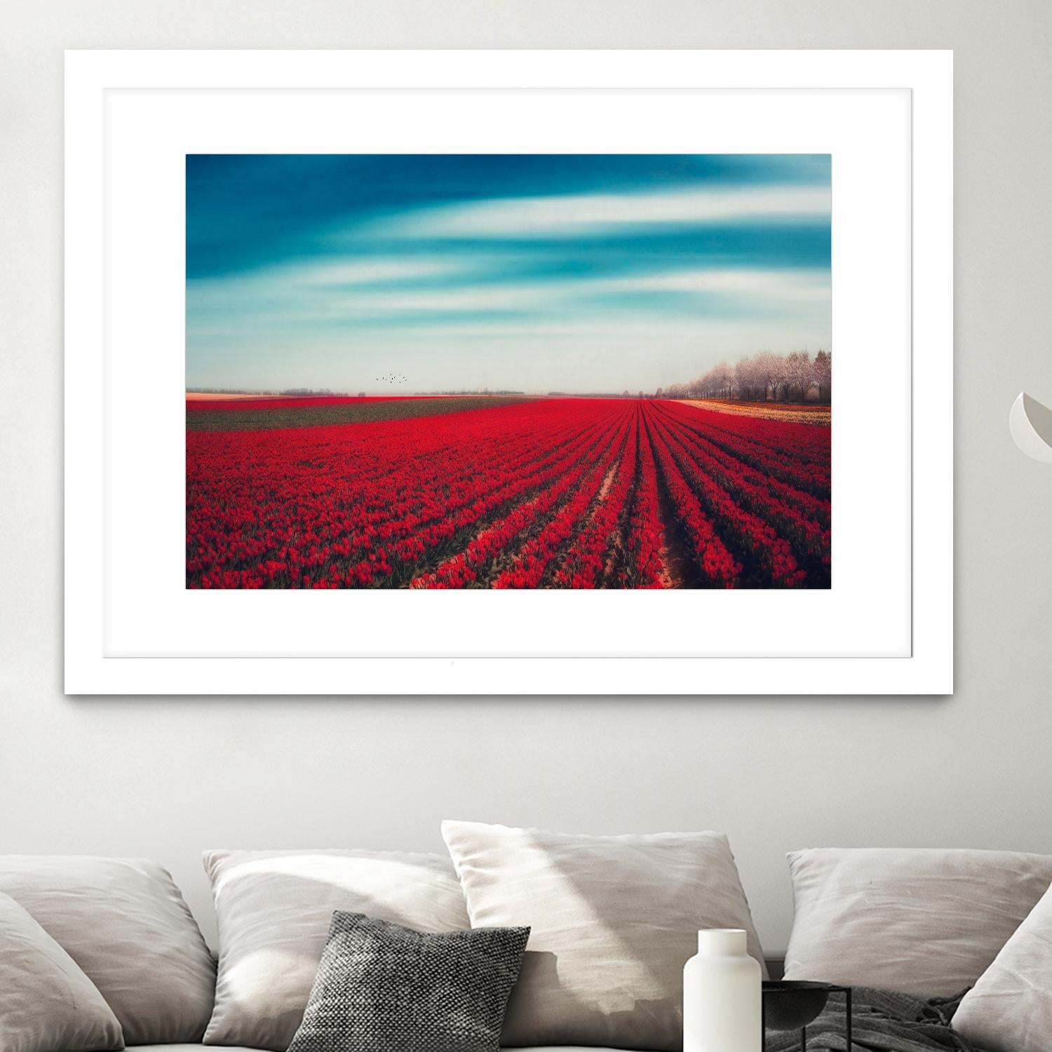 Tulips by Dirk Wuestenhagen on GIANT ART - multicolor photography; landscapes