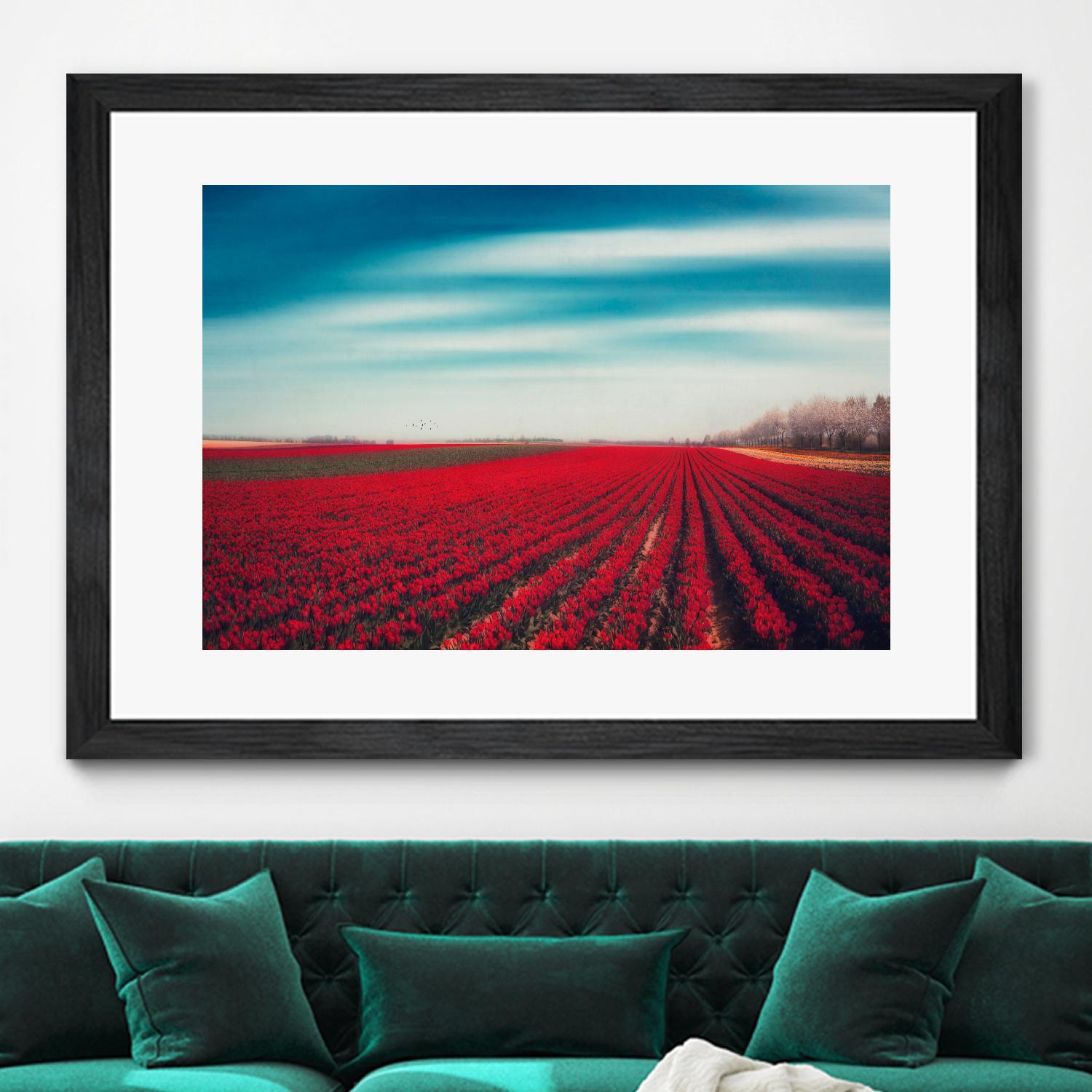 Tulips by Dirk Wuestenhagen on GIANT ART - multicolor photography; landscapes