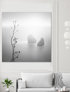 Misty Rocks by Alexandre Manuel on GIANT ART - grey landscape