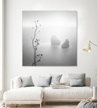 Misty Rocks by Alexandre Manuel on GIANT ART - grey landscape