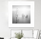 Misty Rocks by Alexandre Manuel on GIANT ART - grey landscape