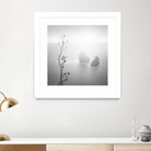 Misty Rocks by Alexandre Manuel on GIANT ART - grey landscape