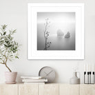 Misty Rocks by Alexandre Manuel on GIANT ART - grey landscape