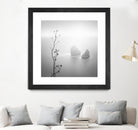 Misty Rocks by Alexandre Manuel on GIANT ART - grey landscape