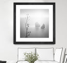 Misty Rocks by Alexandre Manuel on GIANT ART - grey landscape