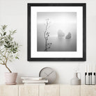 Misty Rocks by Alexandre Manuel on GIANT ART - grey landscape