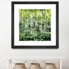 Linear Muse I by John Bingham on GIANT ART - green Trees