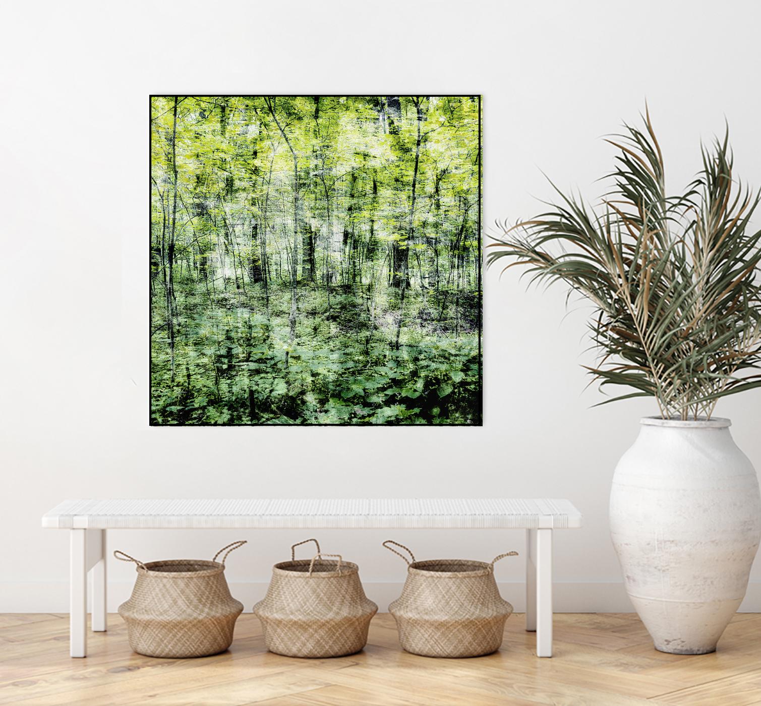 Linear Muse I by John Bingham on GIANT ART - green Trees