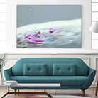 Pop a Top by Connie Publicover on GIANT ART - pink nature