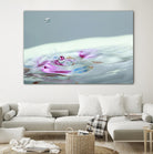 Pop a Top by Connie Publicover on GIANT ART - pink nature