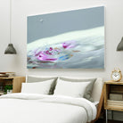 Pop a Top by Connie Publicover on GIANT ART - pink nature