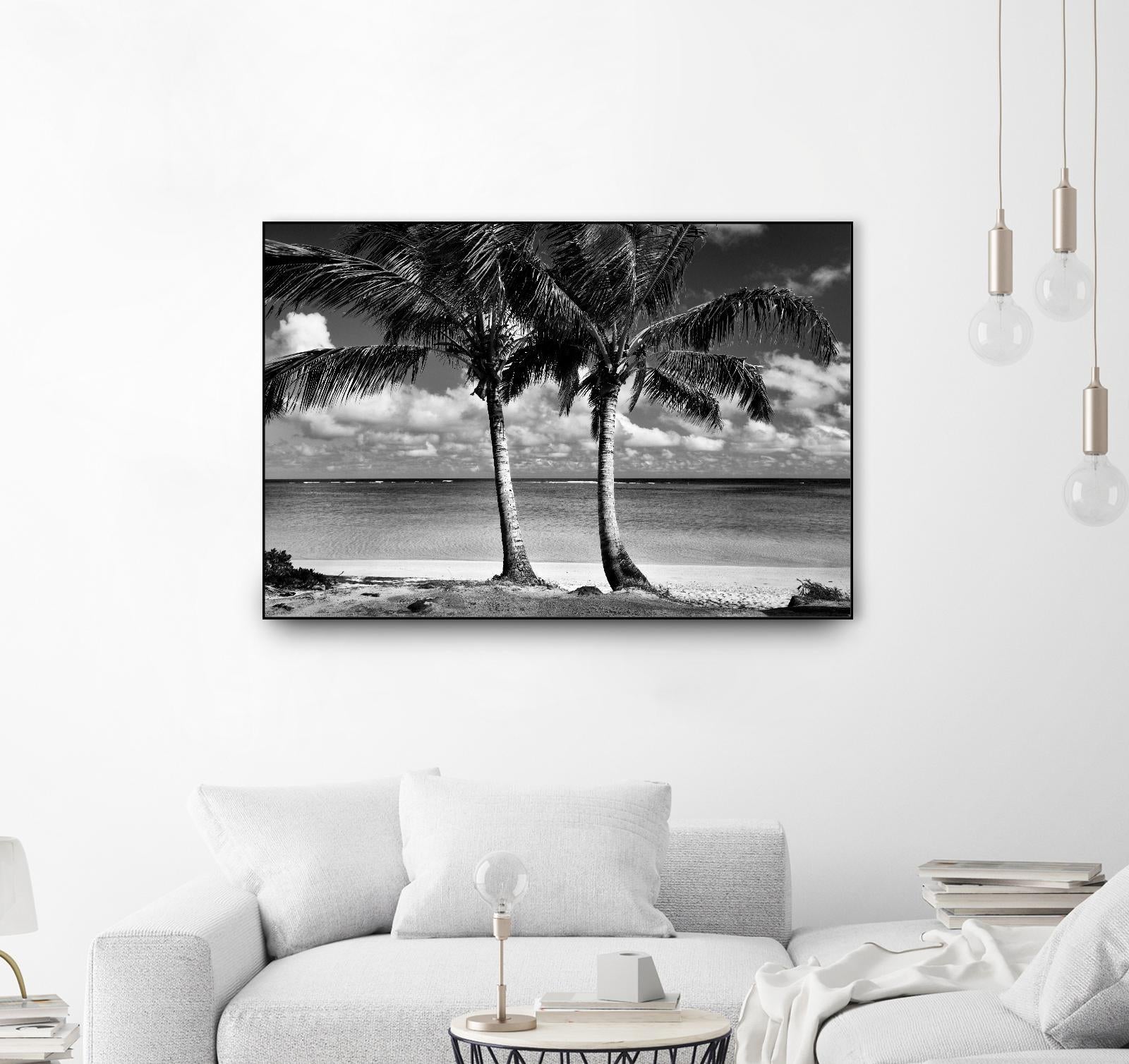 Summer Breezes I by Dennis Frates on GIANT ART - white tropical