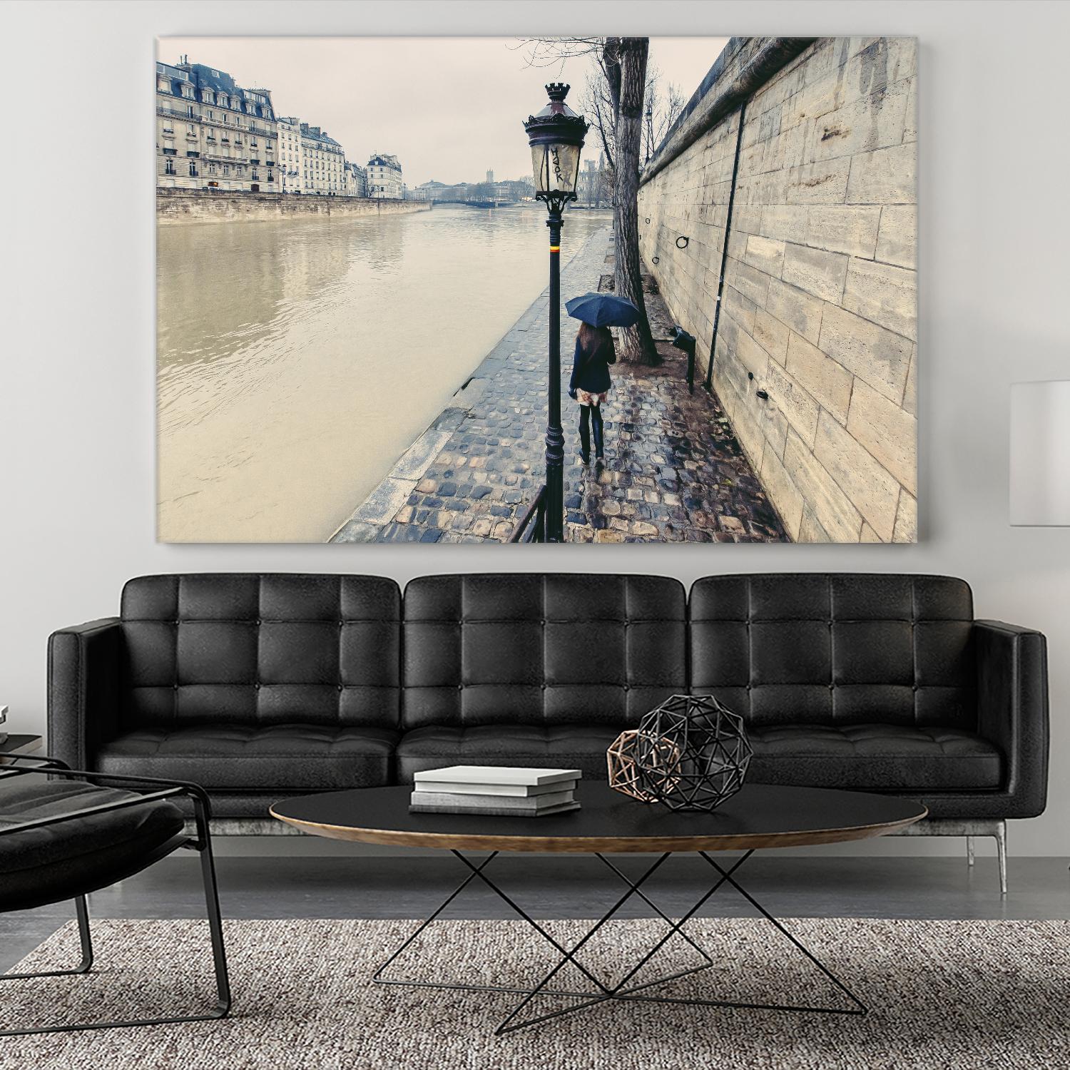 The Girl on the Seine River by Guilliame Gaudet on GIANT ART - grey city scene