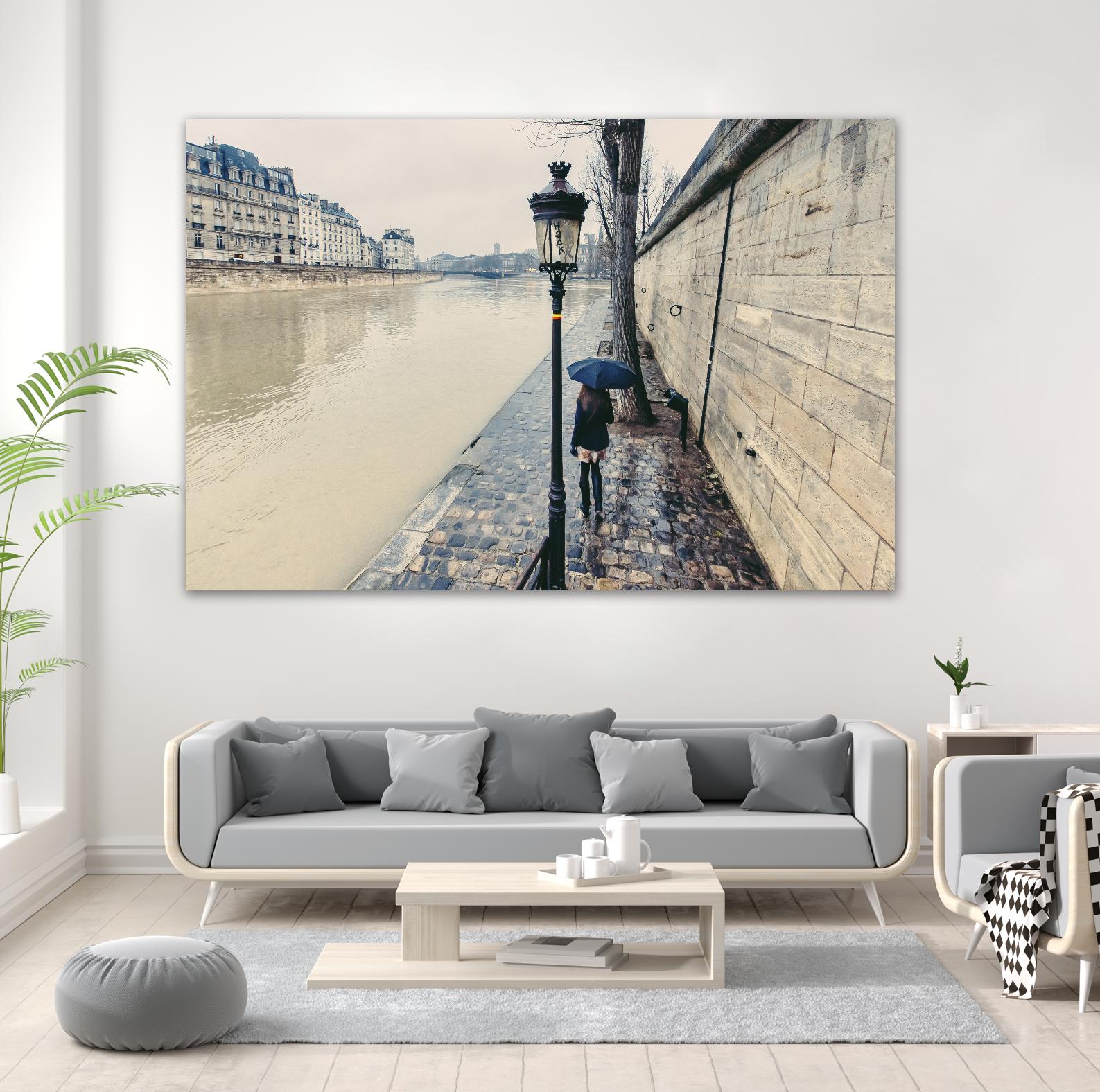 The Girl on the Seine River by Guilliame Gaudet on GIANT ART - grey city scene