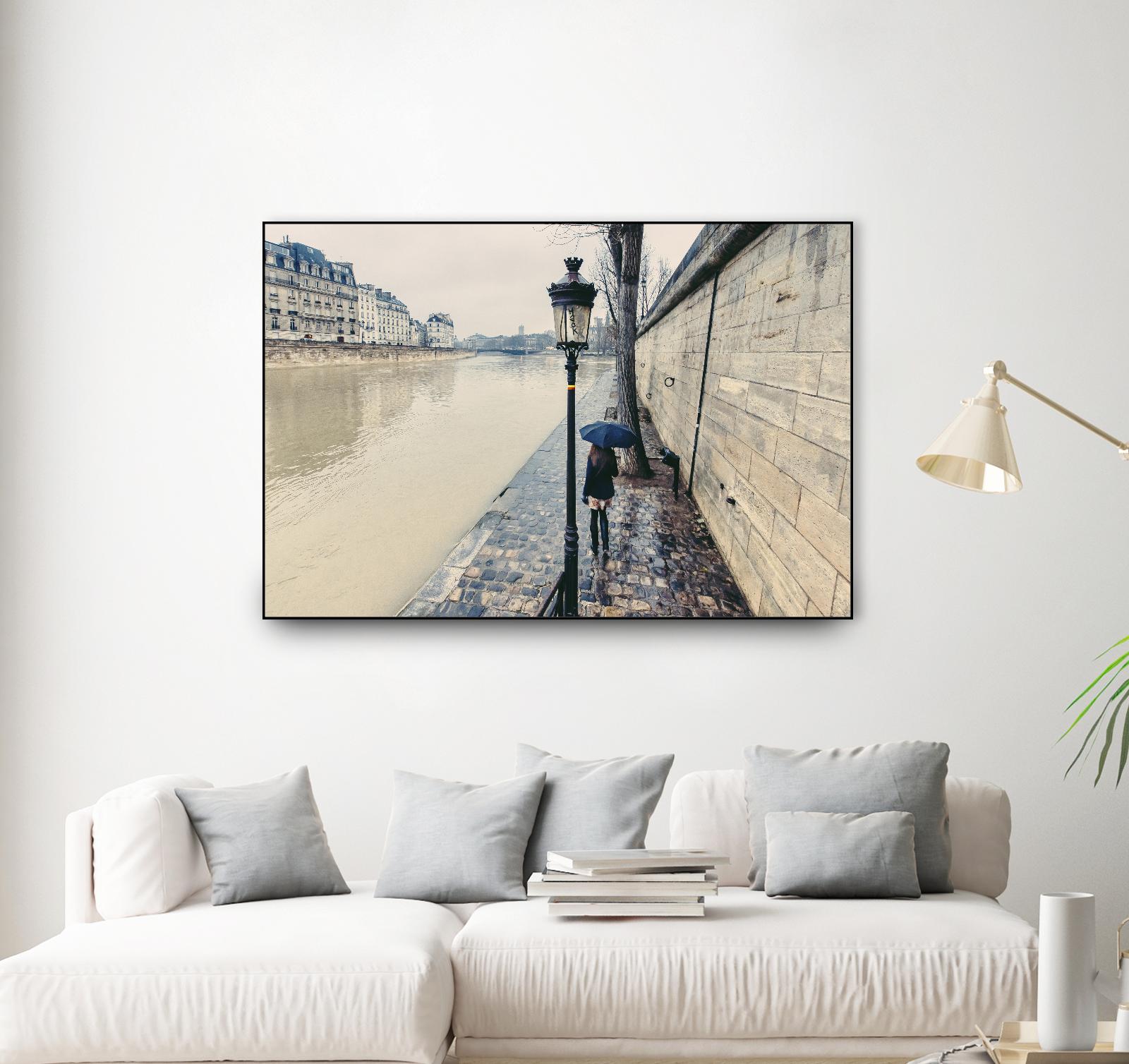 The Girl on the Seine River by Guilliame Gaudet on GIANT ART - grey city scene