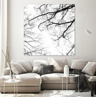 Billows II by Judy Stalus on GIANT ART - black trees