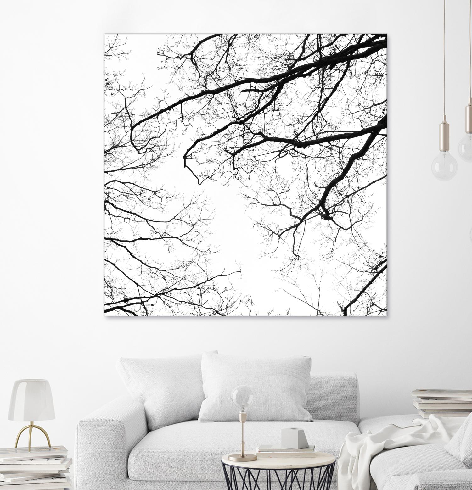 Billows II by Judy Stalus on GIANT ART - black trees