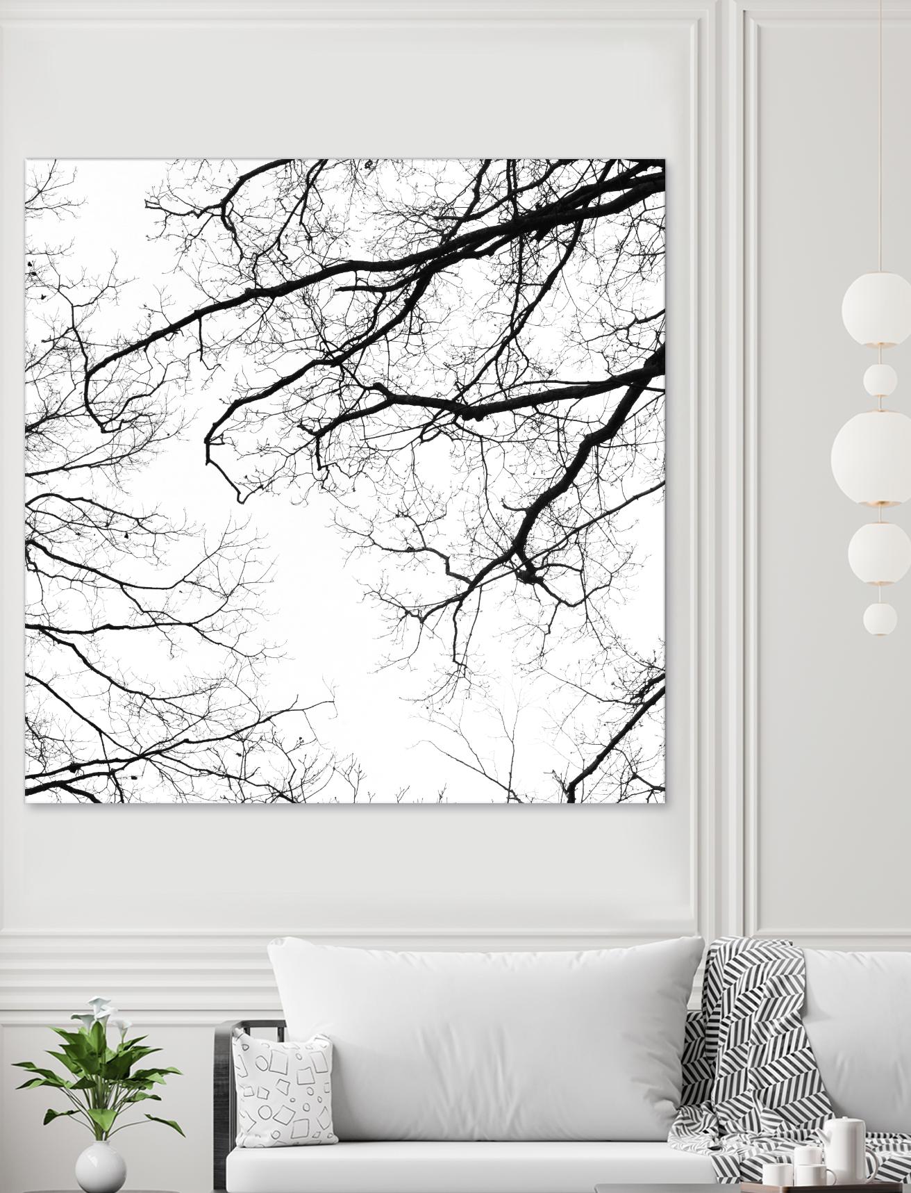 Billows II by Judy Stalus on GIANT ART - black trees