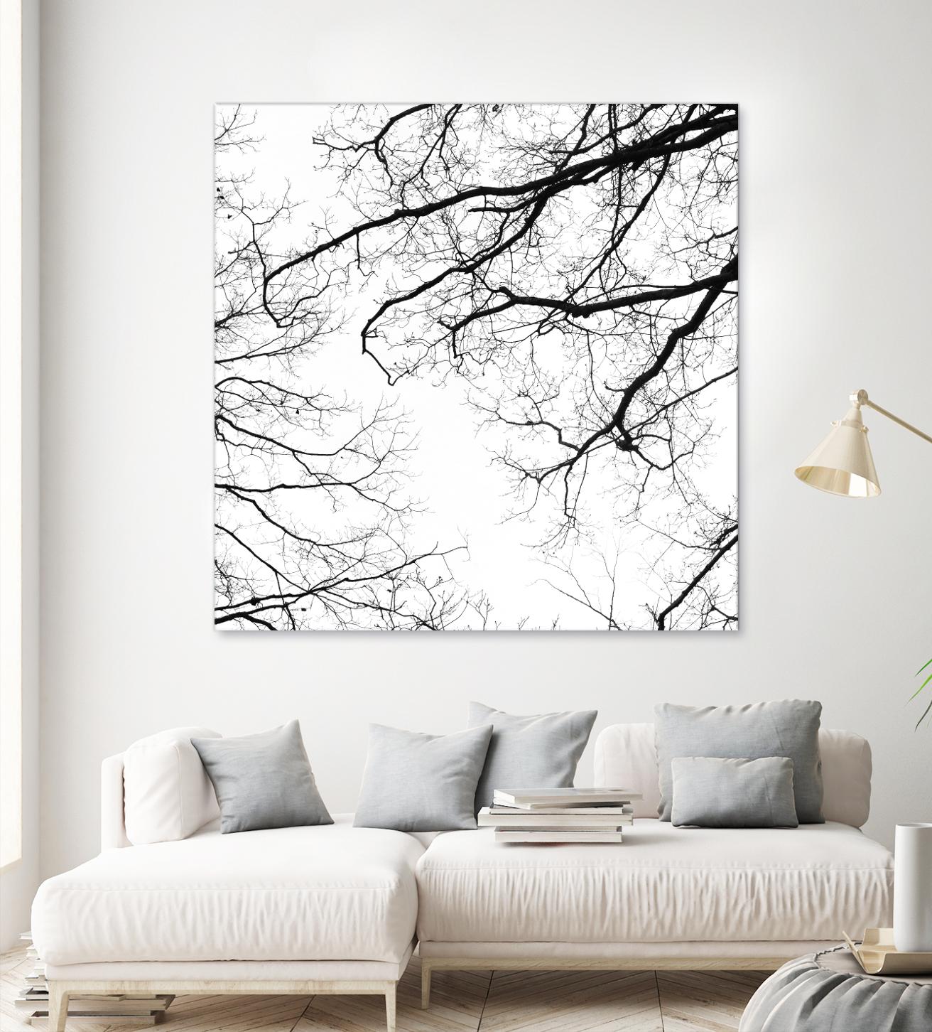 Billows II by Judy Stalus on GIANT ART - black trees
