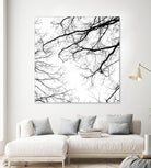 Billows II by Judy Stalus on GIANT ART - black trees