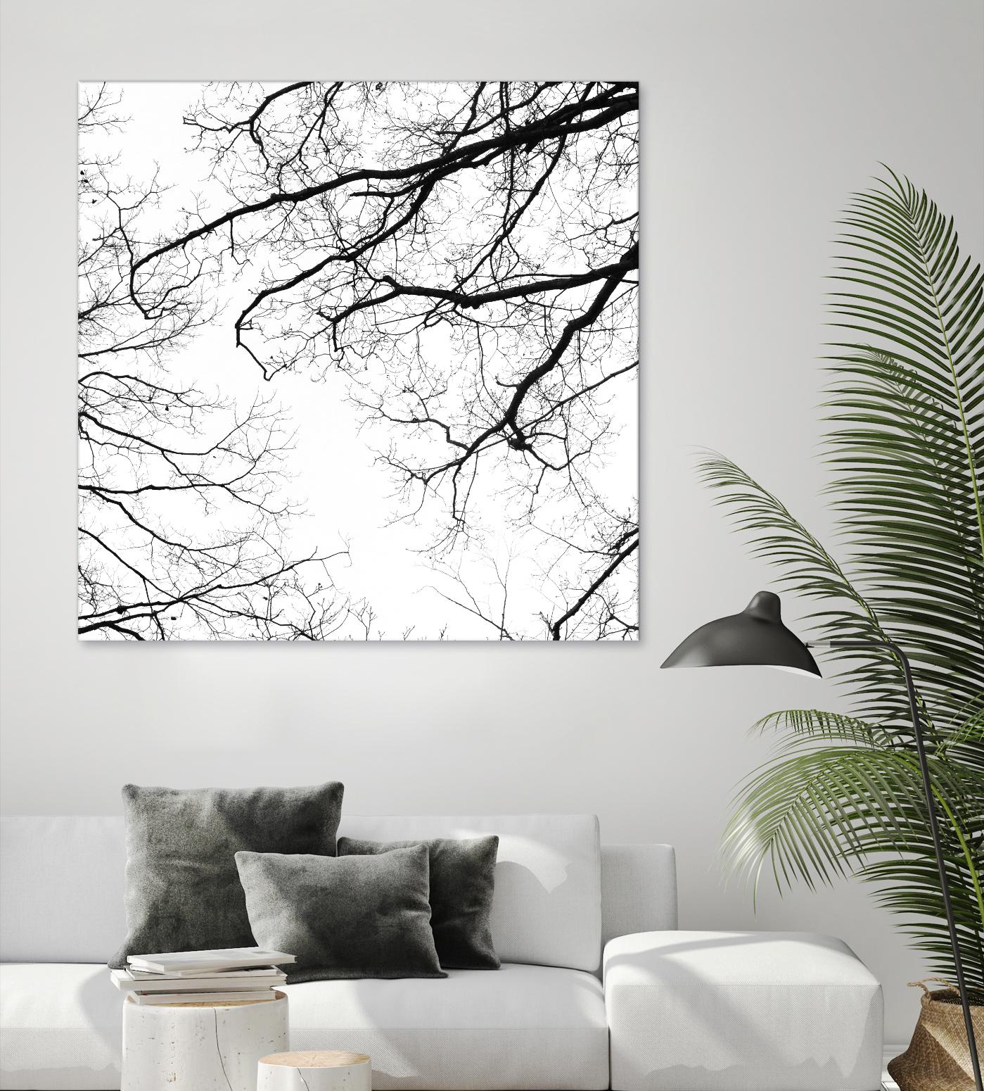 Billows II by Judy Stalus on GIANT ART - black trees