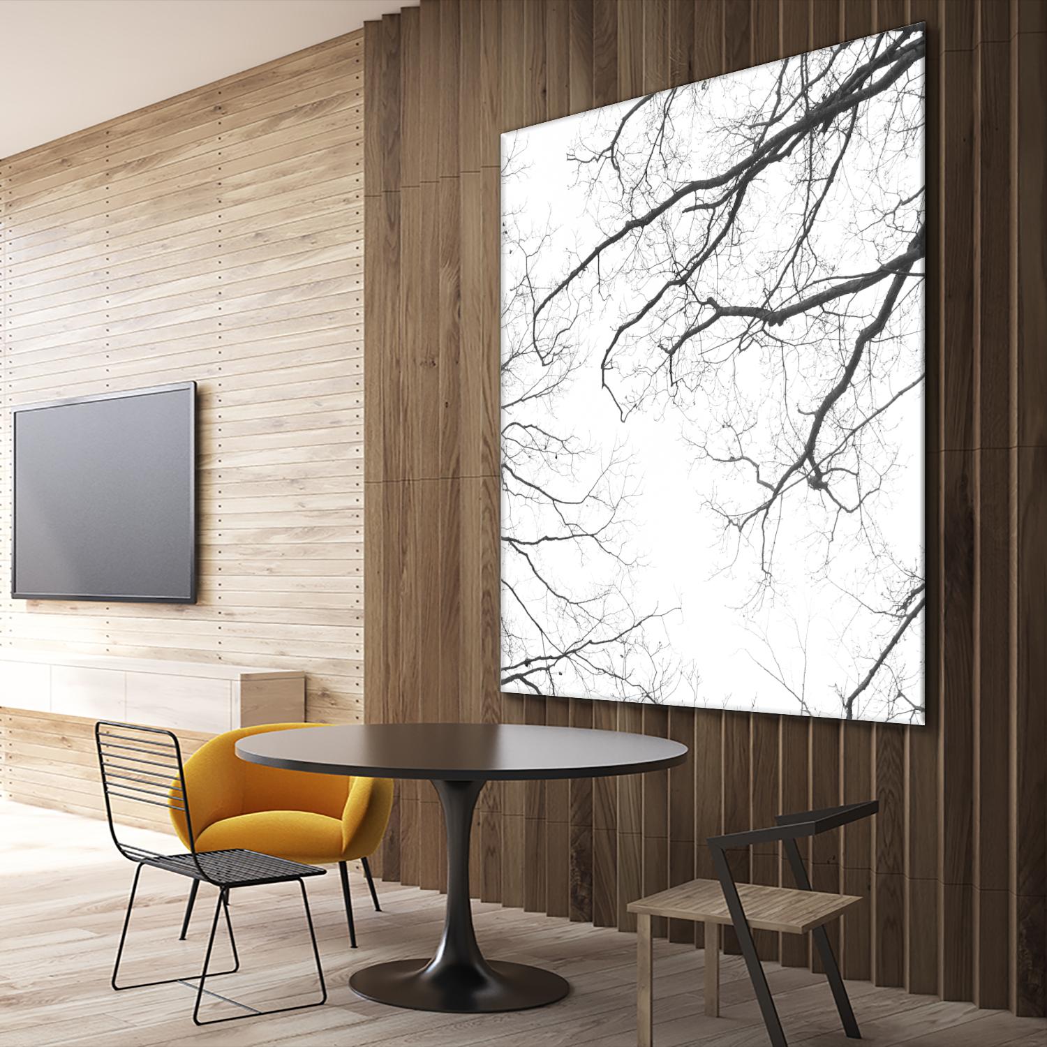 Billows II by Judy Stalus on GIANT ART - black trees