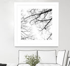 Billows II by Judy Stalus on GIANT ART - black trees