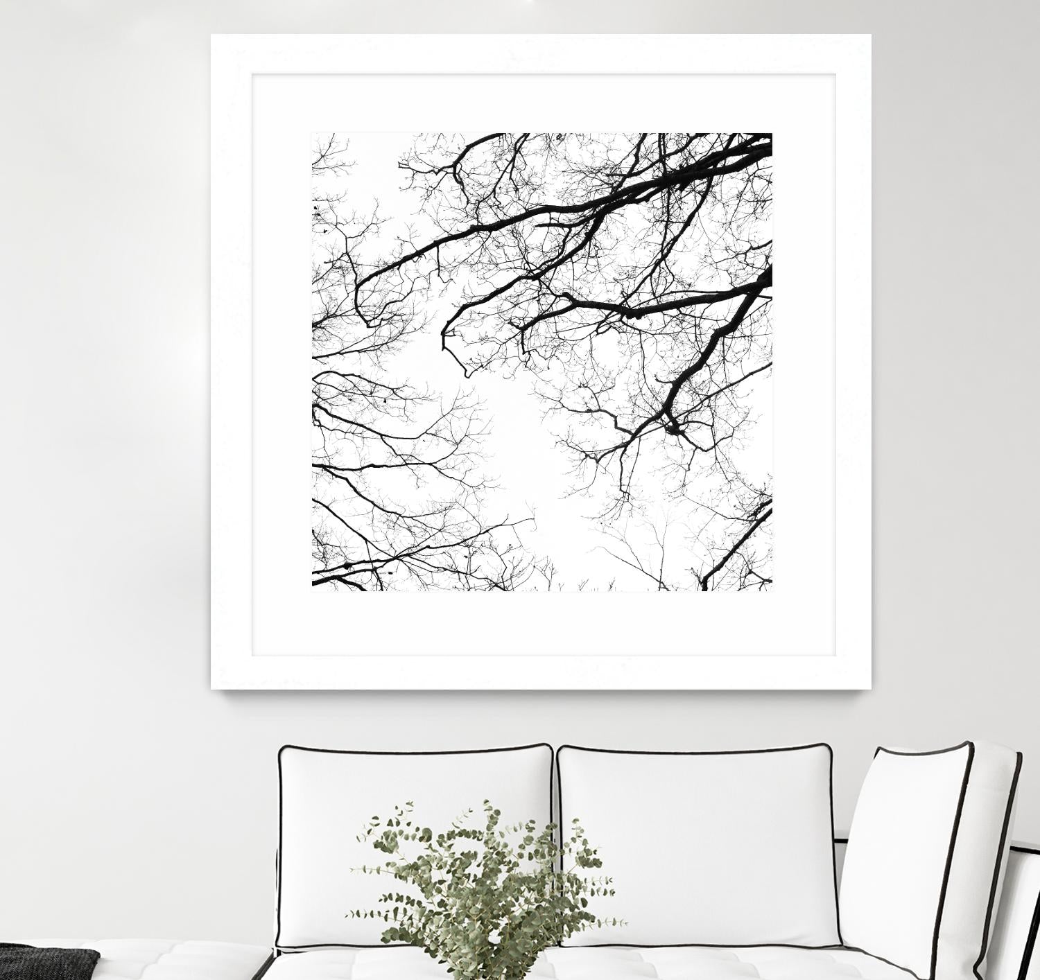 Billows II by Judy Stalus on GIANT ART - black trees