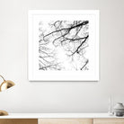 Billows II by Judy Stalus on GIANT ART - black trees