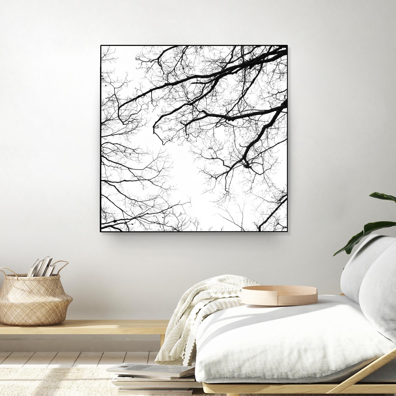 Billows II by Judy Stalus on GIANT ART - black trees