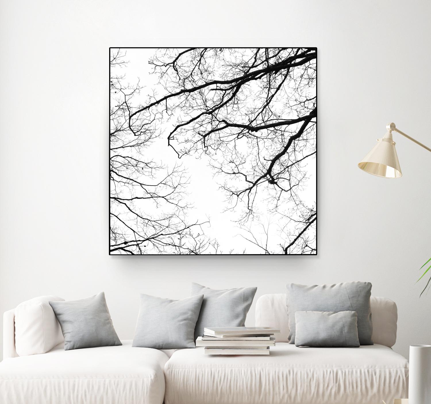 Billows II by Judy Stalus on GIANT ART - black trees