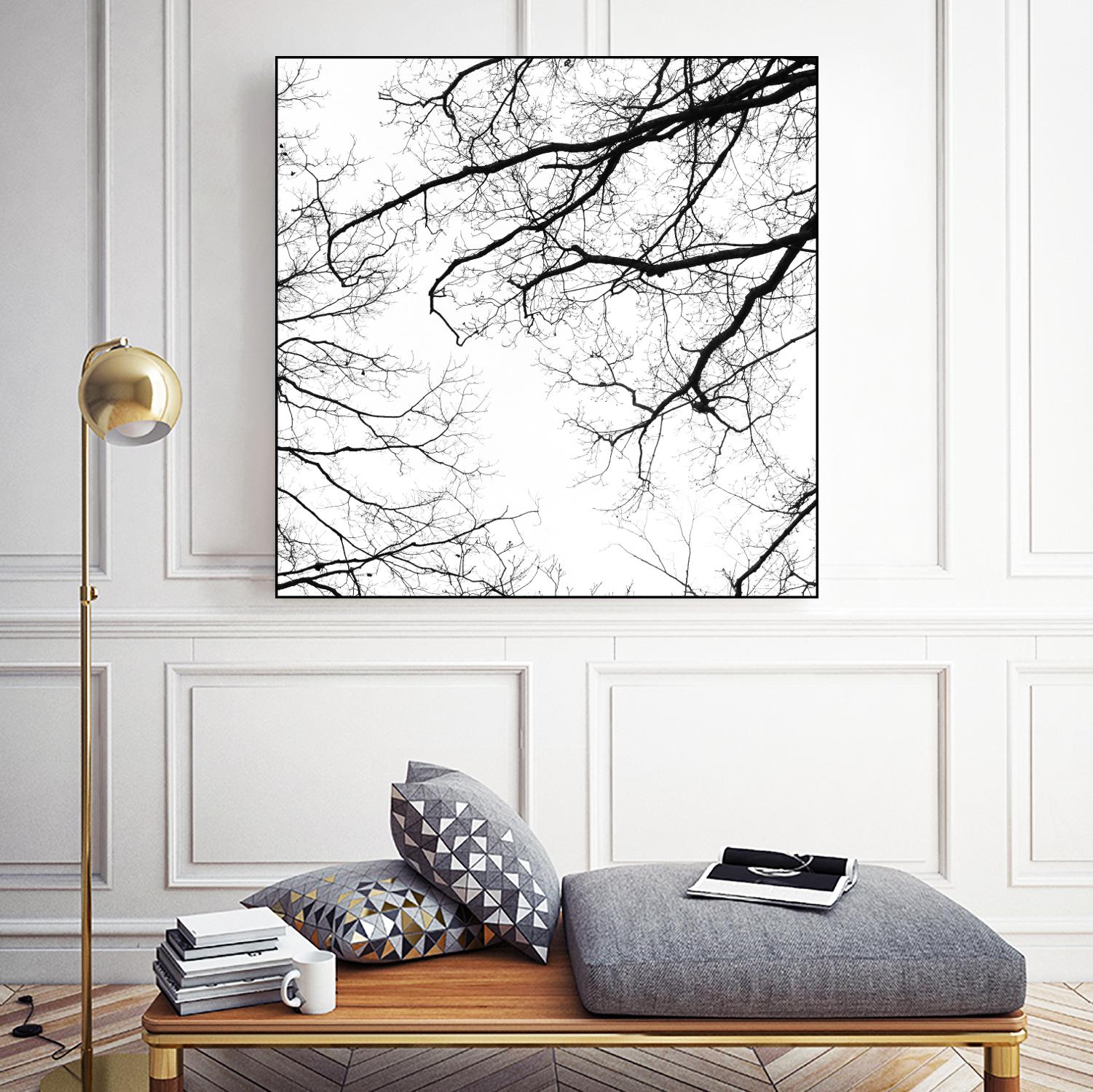 Billows II by Judy Stalus on GIANT ART - black trees