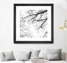 Billows II by Judy Stalus on GIANT ART - black trees