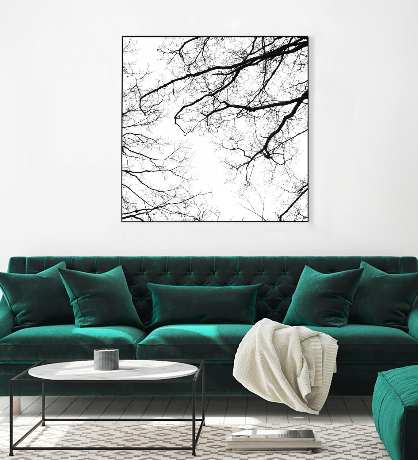 Billows II by Judy Stalus on GIANT ART - black trees