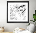 Billows II by Judy Stalus on GIANT ART - black trees