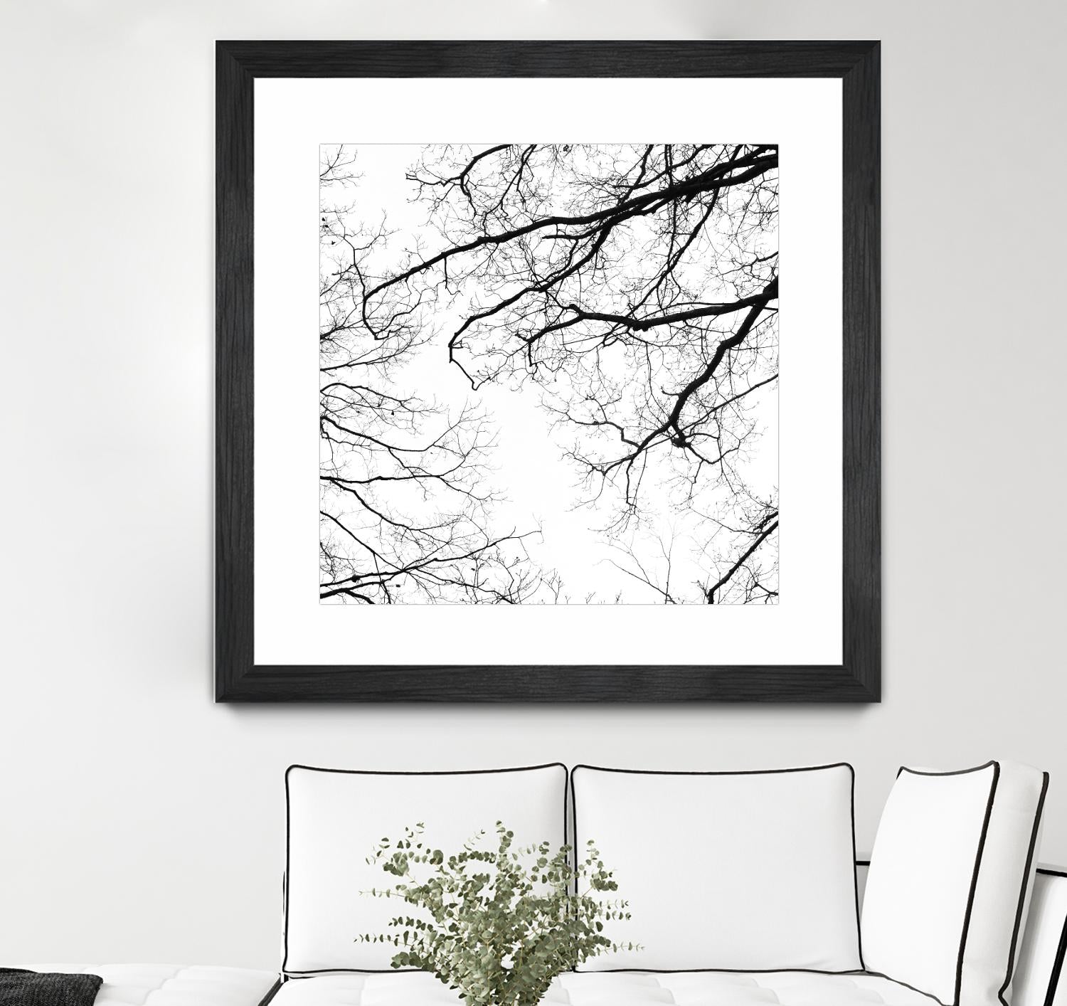 Billows II by Judy Stalus on GIANT ART - black trees