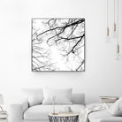 Billows II by Judy Stalus on GIANT ART - black trees