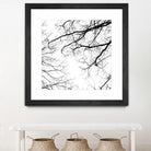 Billows II by Judy Stalus on GIANT ART - black trees