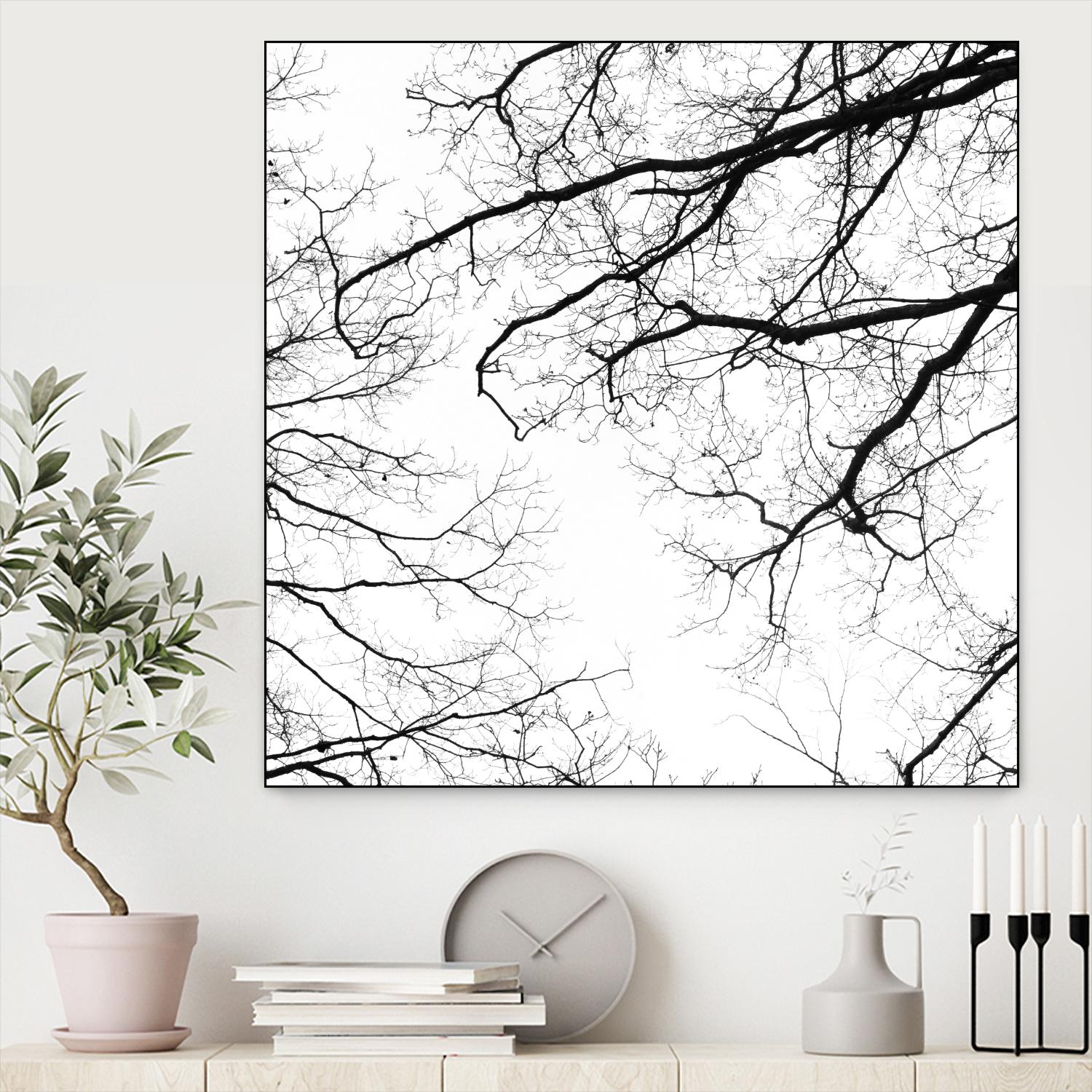 Billows II by Judy Stalus on GIANT ART - black trees