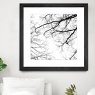 Billows II by Judy Stalus on GIANT ART - black trees