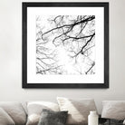 Billows II by Judy Stalus on GIANT ART - black trees