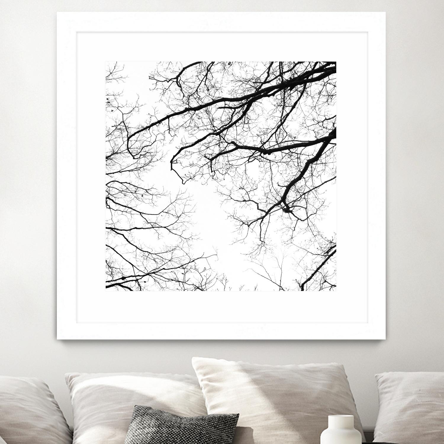 Billows II by Judy Stalus on GIANT ART - black trees