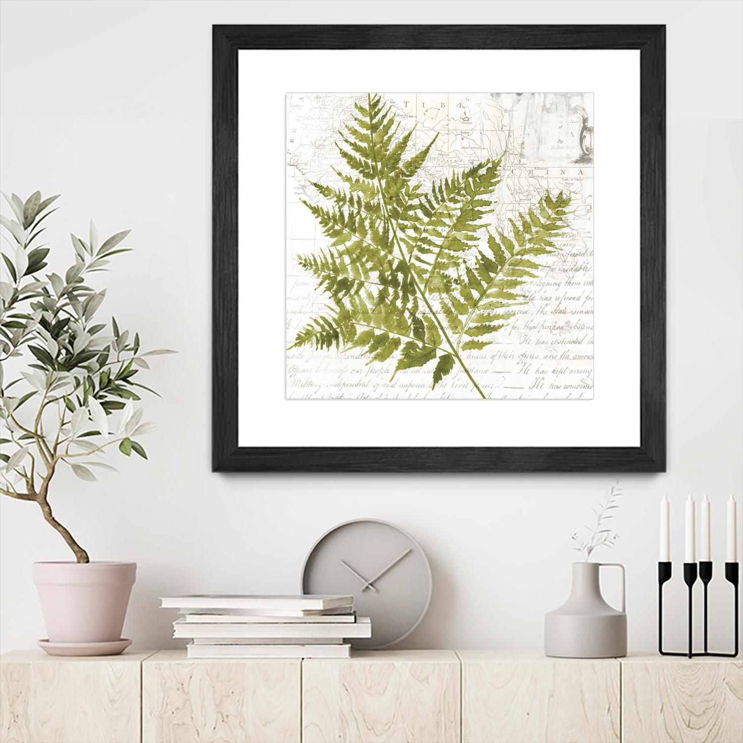 Fern I by Asia Jensen on GIANT ART - green botany