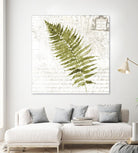 Fern II by Asia Jensen on GIANT ART - green botany