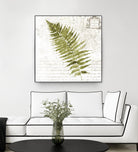 Fern II by Asia Jensen on GIANT ART - green botany