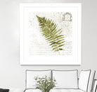 Fern II by Asia Jensen on GIANT ART - green botany