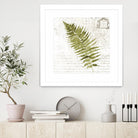 Fern II by Asia Jensen on GIANT ART - green botany