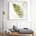 Fern II by Asia Jensen on GIANT ART - green botany