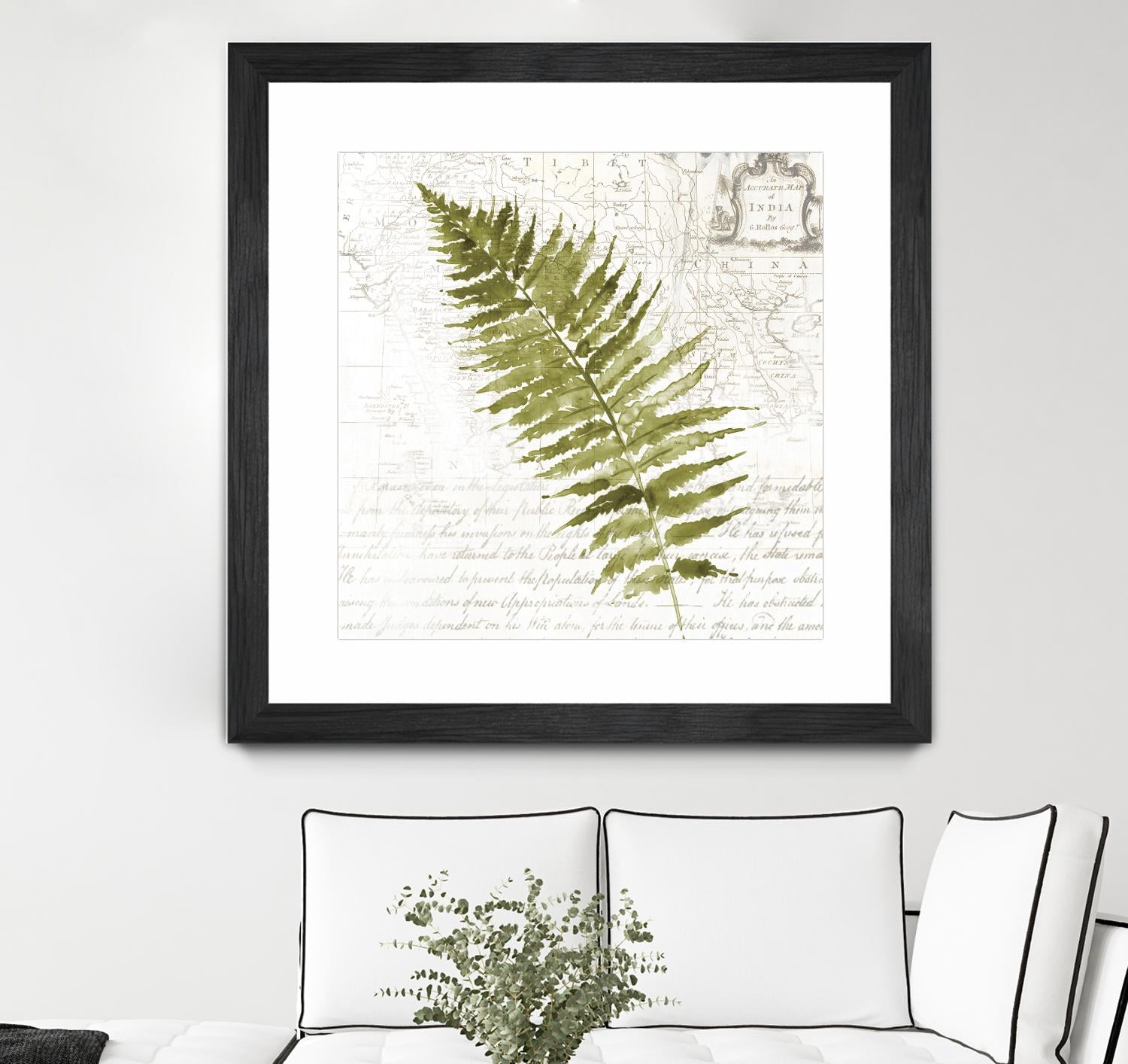Fern II by Asia Jensen on GIANT ART - green botany